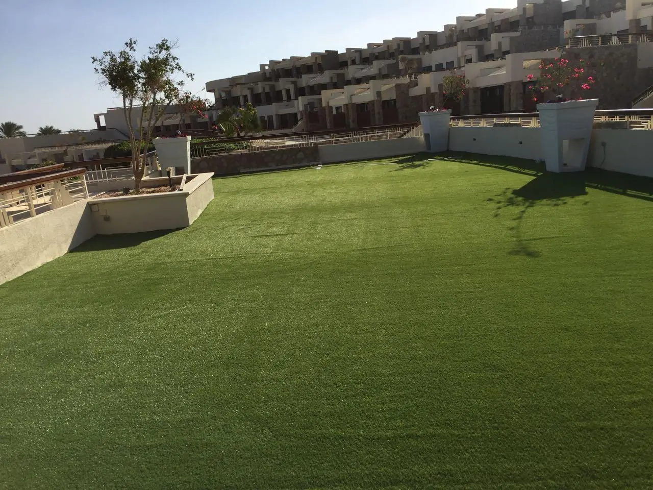 الفرق بين النجيلة الصناعية والنجيلة الهجين
